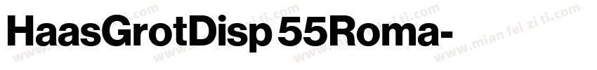 HaasGrotDisp 55Roma字体转换